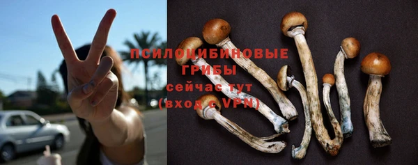 мескалин Михайлов